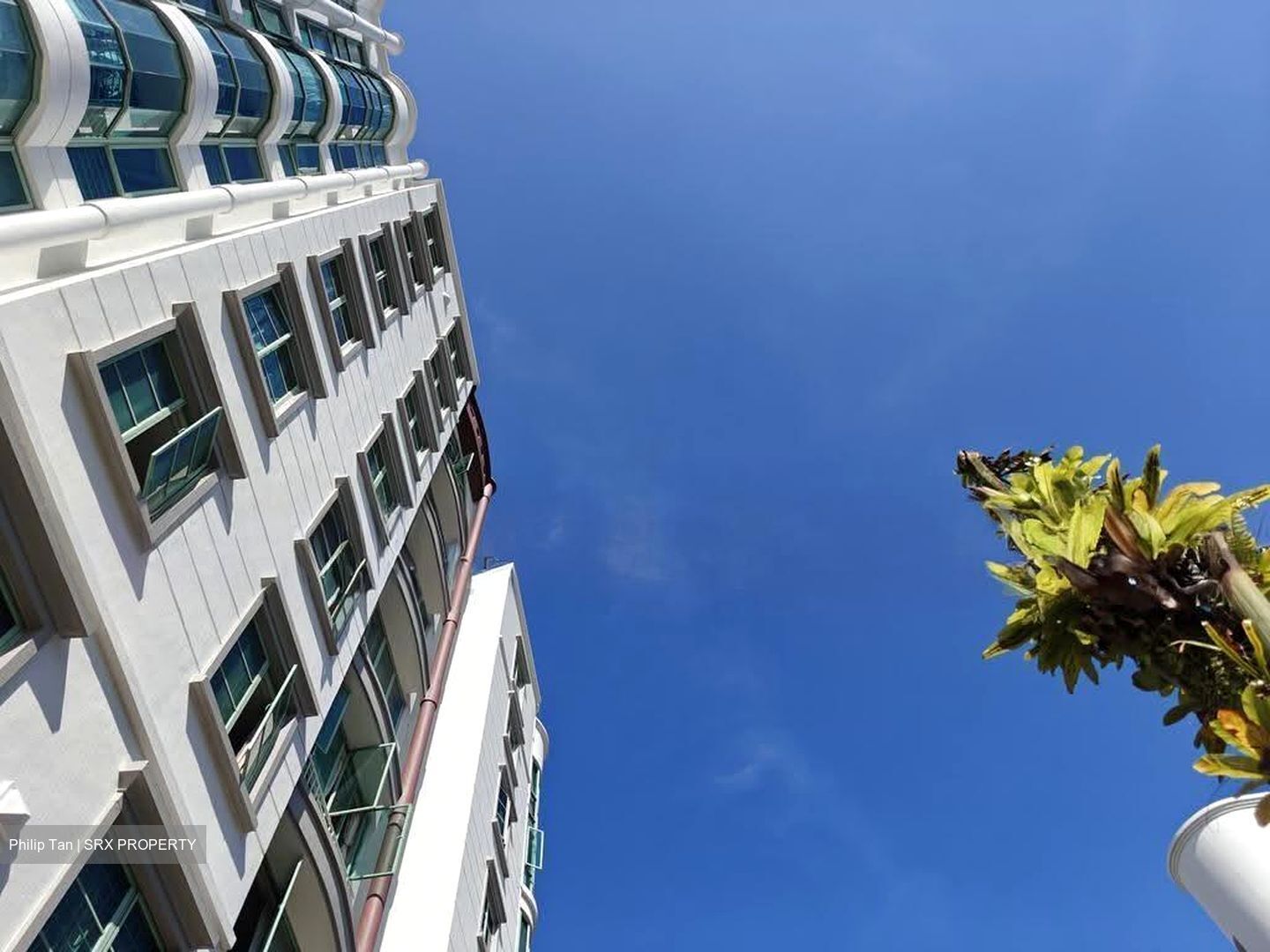 The Sunny Spring (D14), Apartment #611987531
